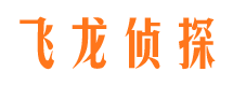 海盐侦探